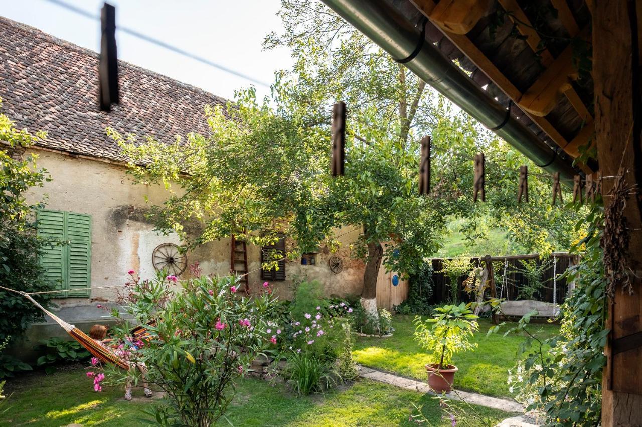 Villa Rihuini Eco Wine House Transylvania Richisu Exterior foto