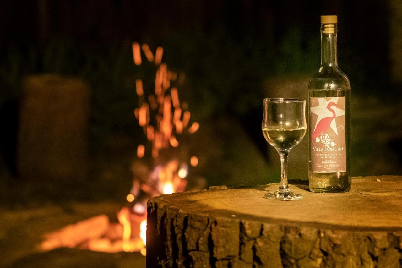 Villa Rihuini Eco Wine House Transylvania Richisu Exterior foto