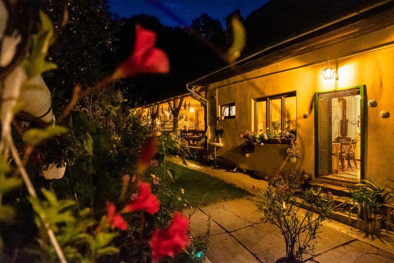 Villa Rihuini Eco Wine House Transylvania Richisu Exterior foto
