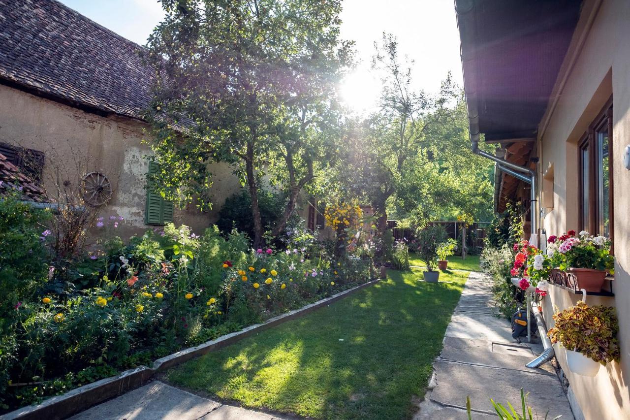 Villa Rihuini Eco Wine House Transylvania Richisu Exterior foto