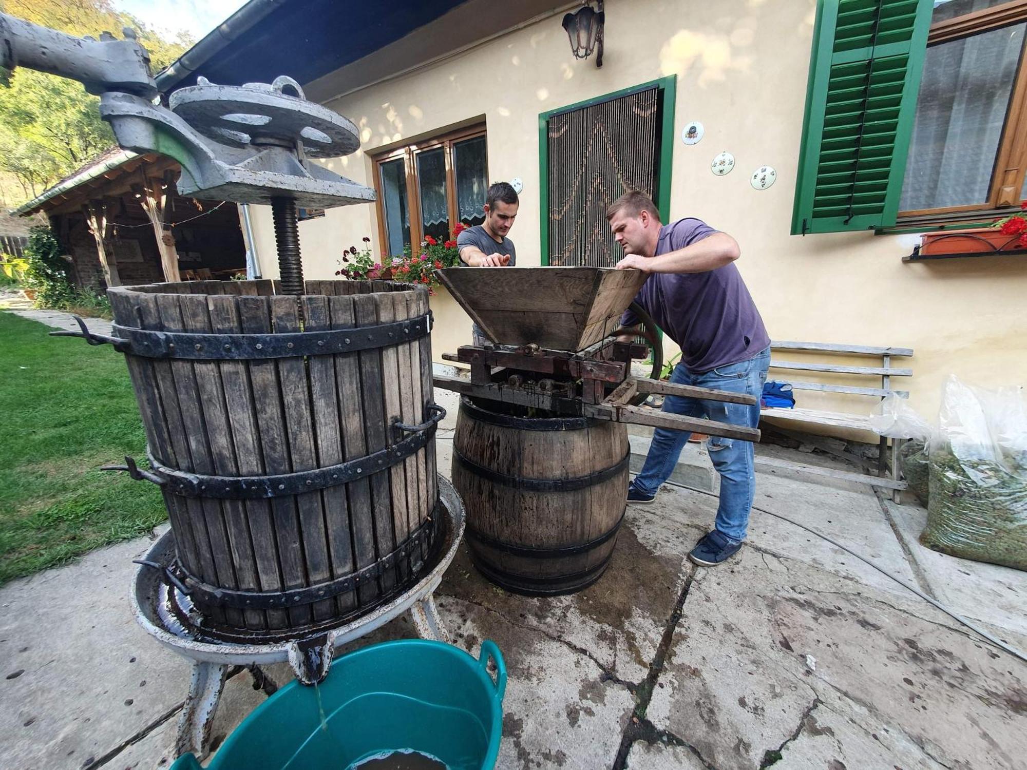 Villa Rihuini Eco Wine House Transylvania Richisu Exterior foto